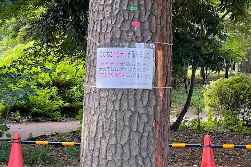 「雷に遭遇したら車の中が安全」は本当か？運転中の「ゲリラ豪雨」から身を守る方法【ケース別】